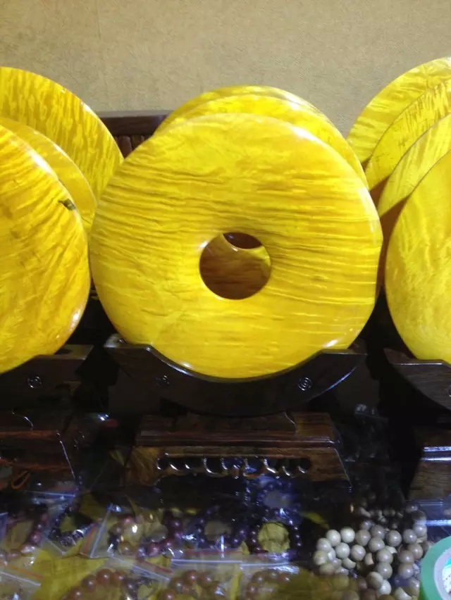 黃柏黃金木樹(shù)