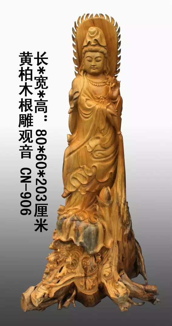 黃柏黃金木樹(shù)