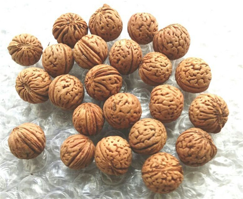 桃胡  毛桃胡果實(shí)