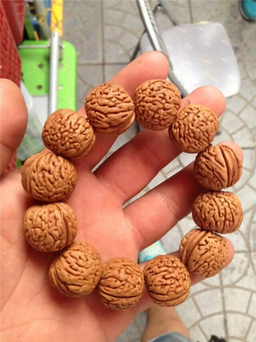 桃胡毛桃胡果實(shí)