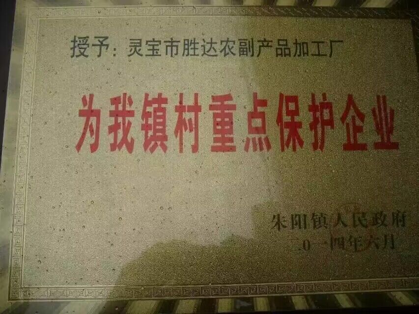 榮譽資質
