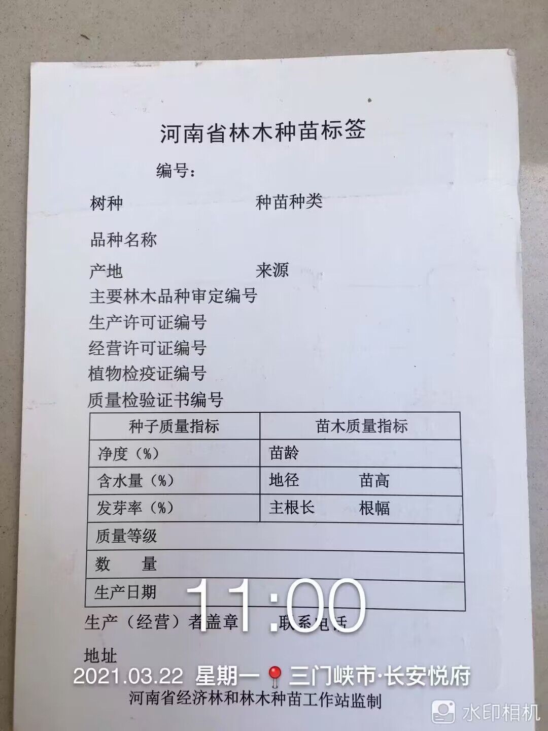 榮譽證書