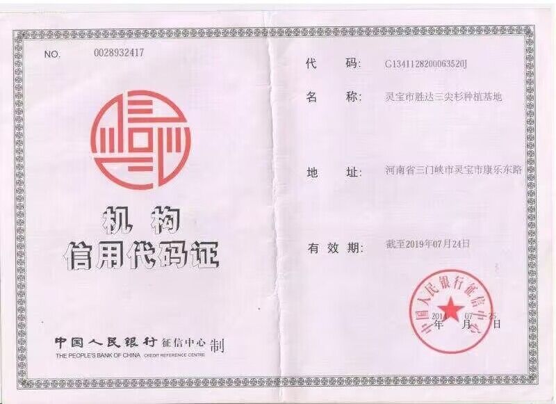 榮譽證書