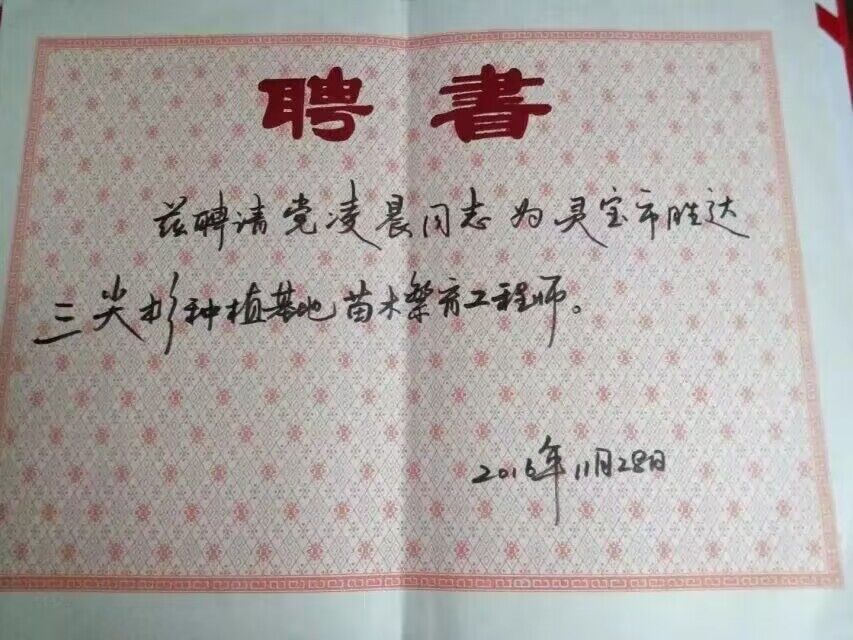 聘書