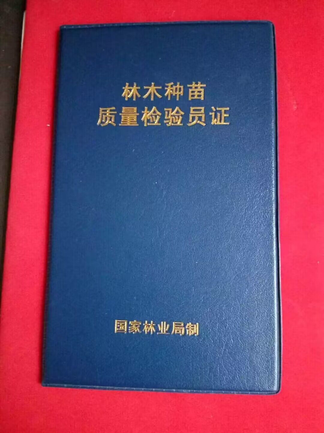 榮譽資質