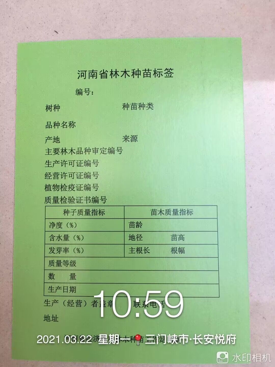 榮譽資質
