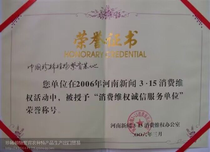 榮譽證書